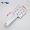 Frap F002 (5)