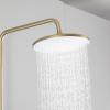 Frap F2488-3 (9)