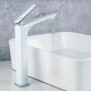 Frap F1058-2 (2)