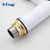 Frap F1041 (4)