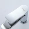 Frap F1075 (7)