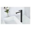 Frap F10806-62 (1)