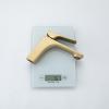 Frap F1087-3 (19)