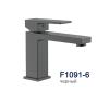 Frap F1091-6 (1)