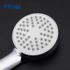 Frap F2231 (4)