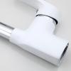 Frap F4453-03 (7)