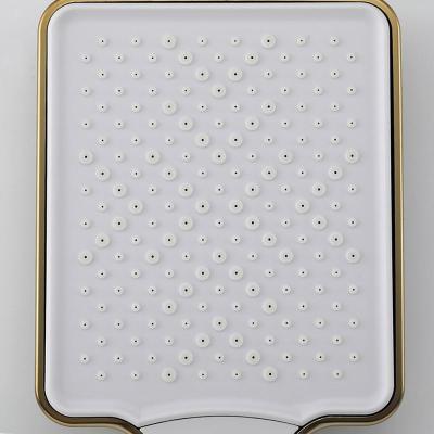 Frap F2461-3 (14)