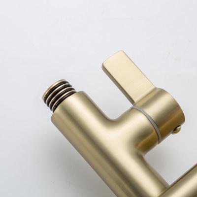 Frap F2488-3 (31)