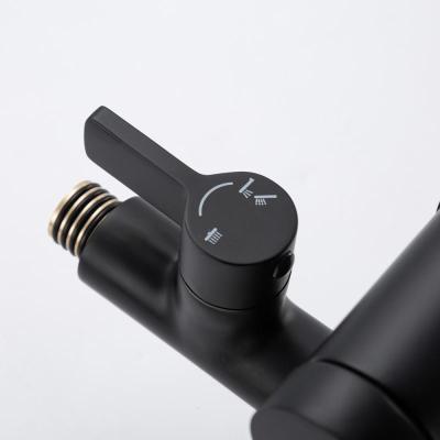 Frap F2488-6 (29)