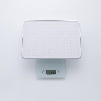 Frap F2490 (19)