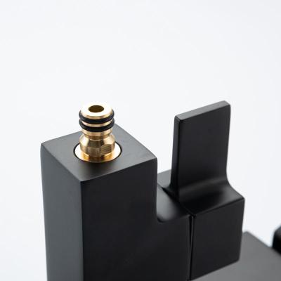 Frap F2491-6 (37)