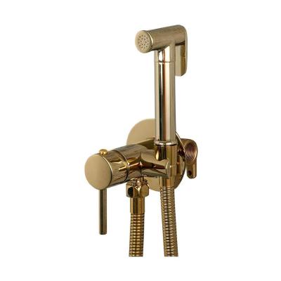 Смеситель с гигиеническим душем Frap F7505-3