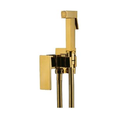 Смеситель с гигиеническим душем Frap F7506-3