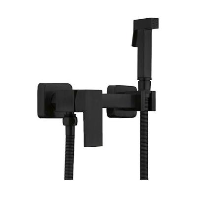 Смеситель с гигиеническим душем Frap Frap F7504-6