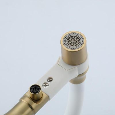 Frap F4397-3 (15)