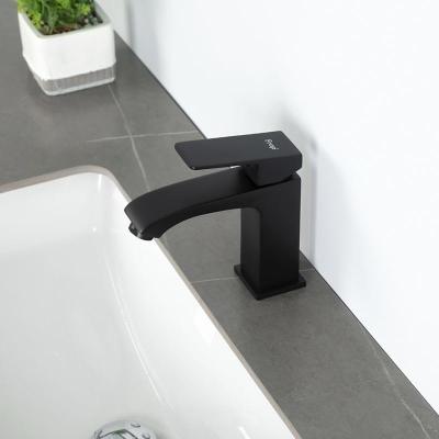 Frap F1076-6 (8)