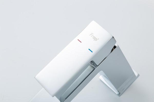 Frap F1091 (7)
