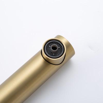 Frap F4396-33 (20)