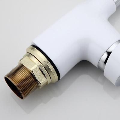 Frap F4453-03 (9)