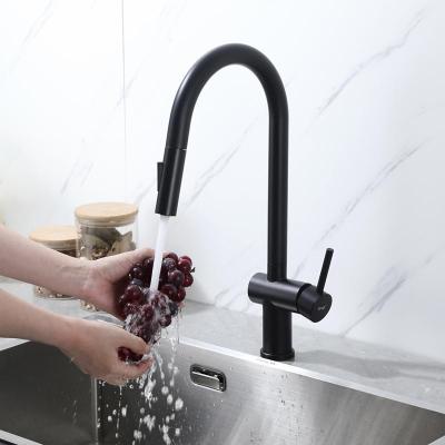 Frap F60807-6 (24)